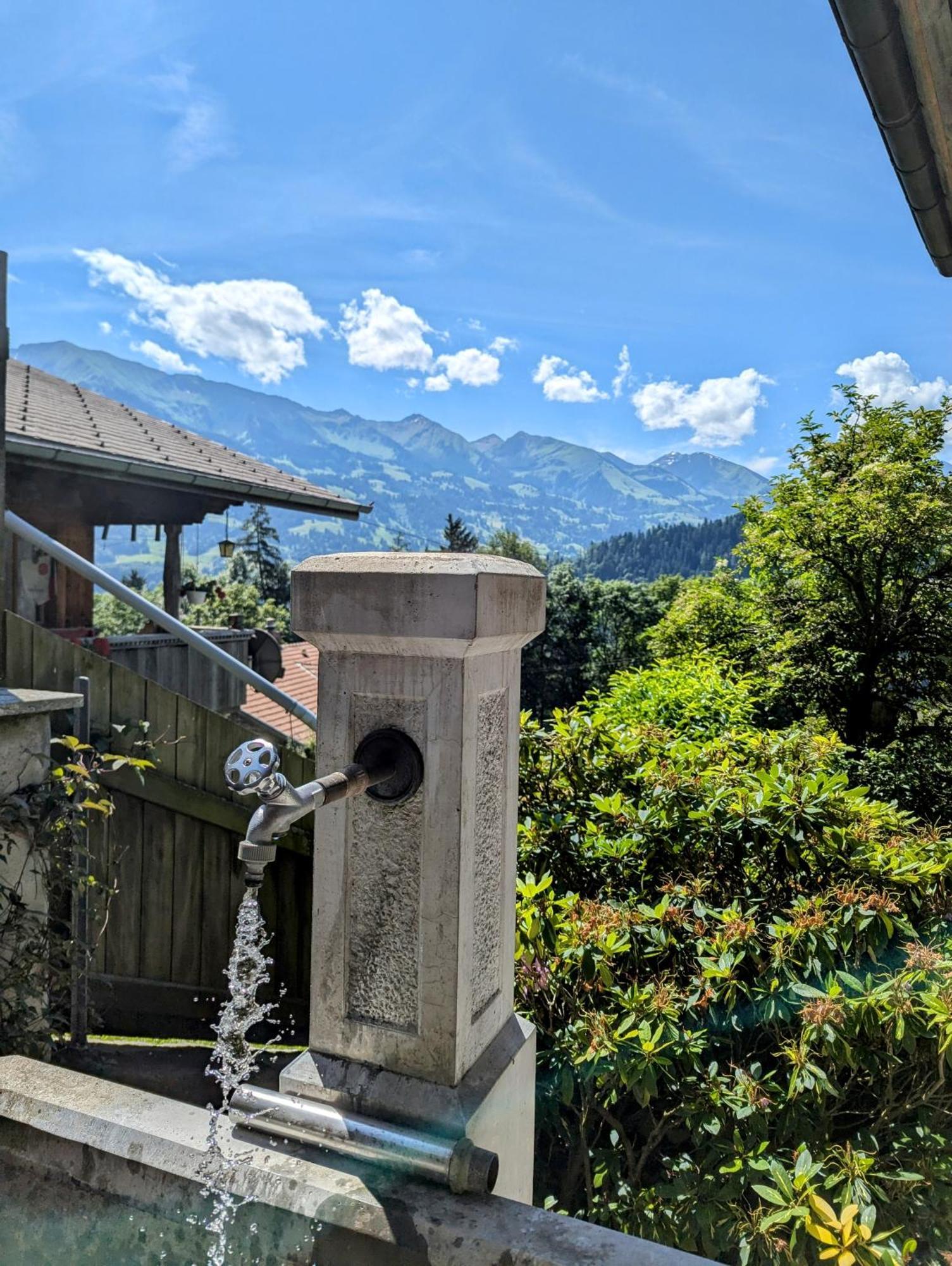 Swiss Mountain-Valley View Lodge Erlenbach im Simmental Exteriör bild