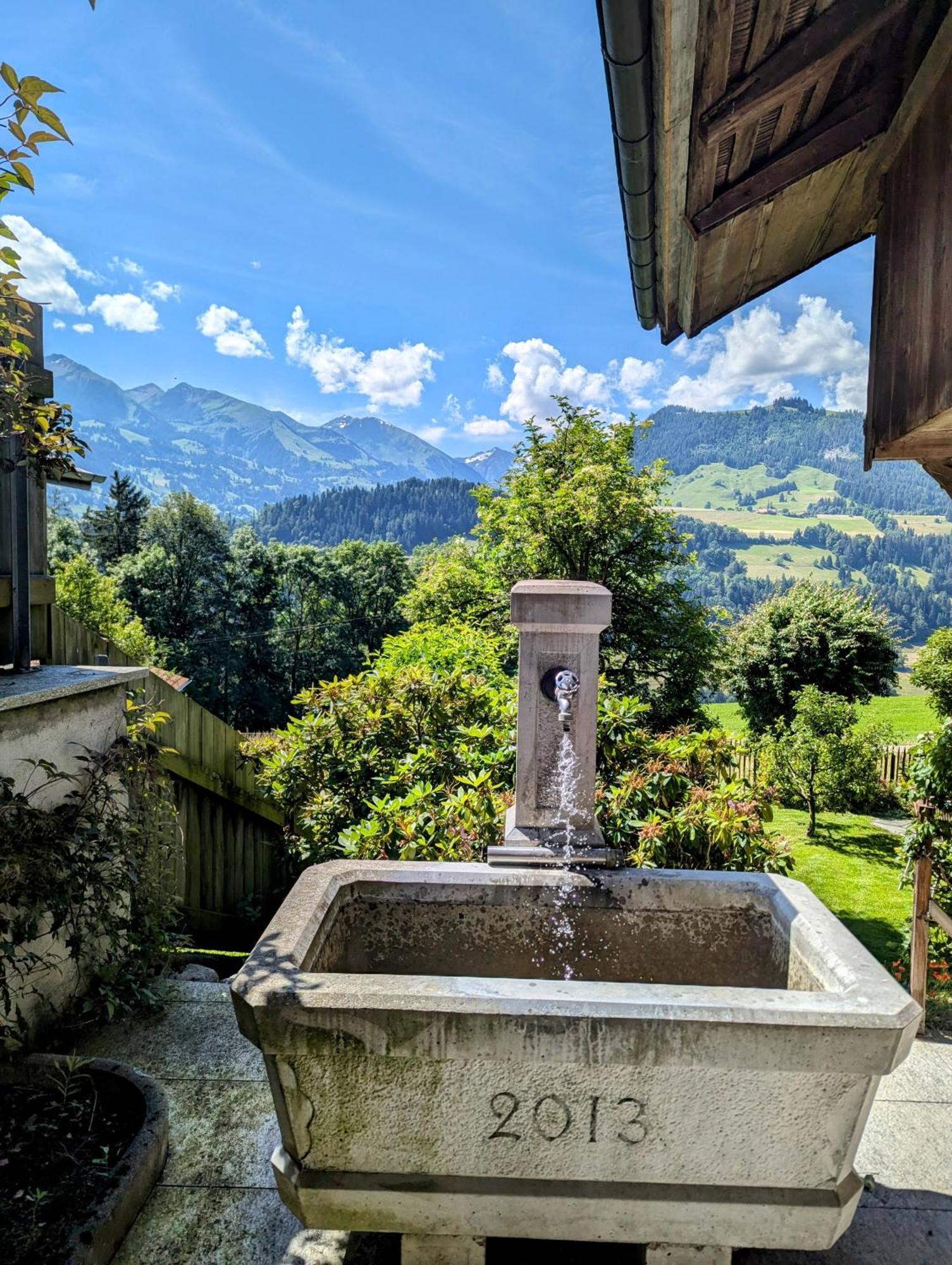 Swiss Mountain-Valley View Lodge Erlenbach im Simmental Exteriör bild