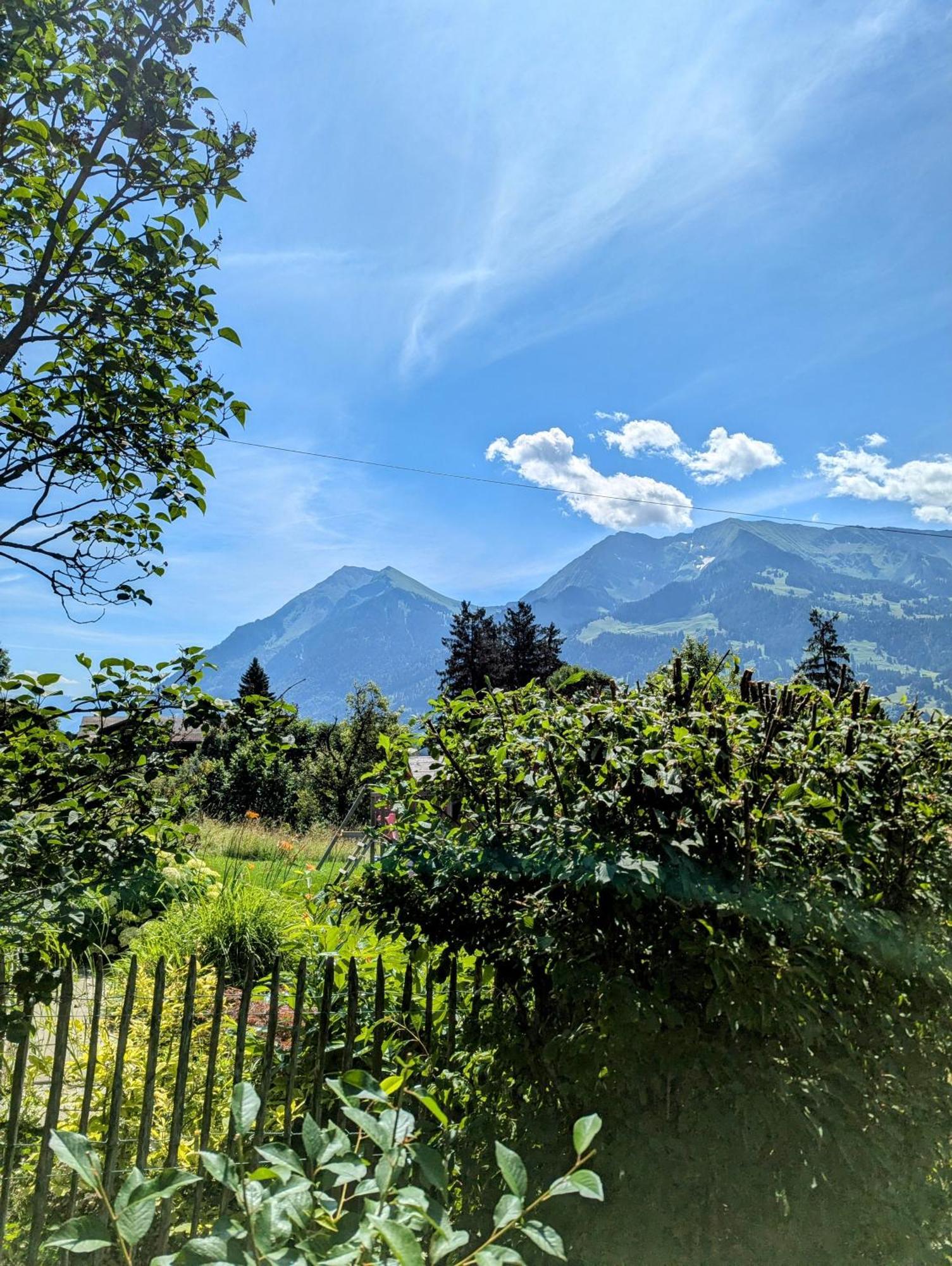 Swiss Mountain-Valley View Lodge Erlenbach im Simmental Exteriör bild