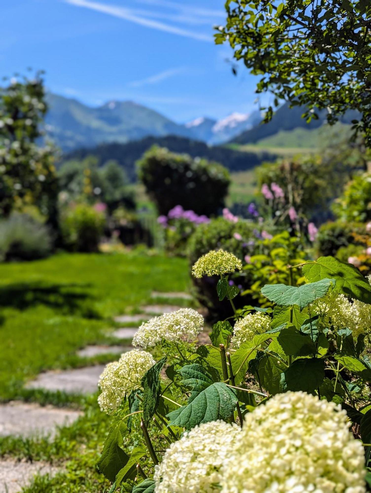 Swiss Mountain-Valley View Lodge Erlenbach im Simmental Exteriör bild