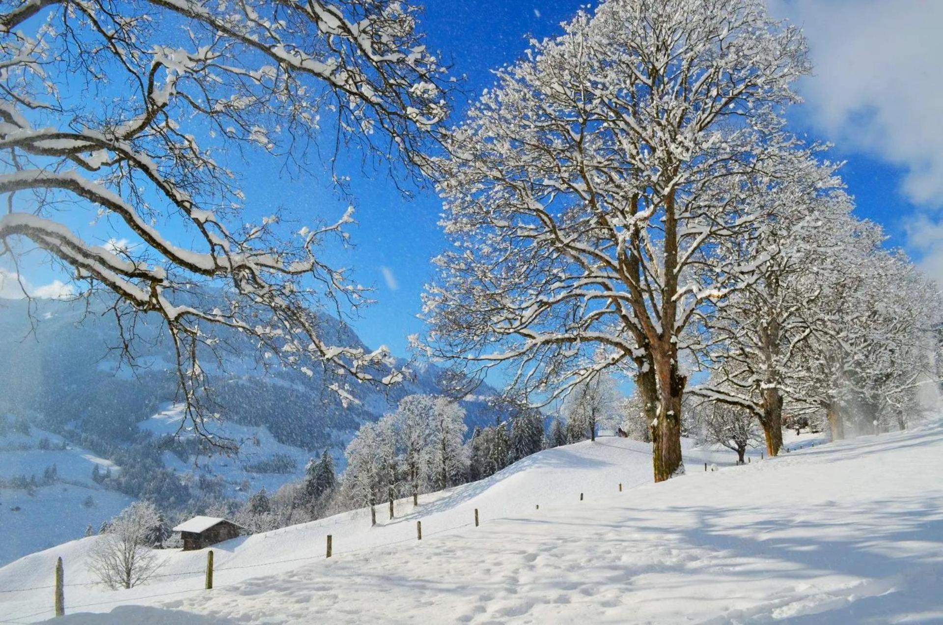 Swiss Mountain-Valley View Lodge Erlenbach im Simmental Exteriör bild